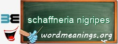 WordMeaning blackboard for schaffneria nigripes